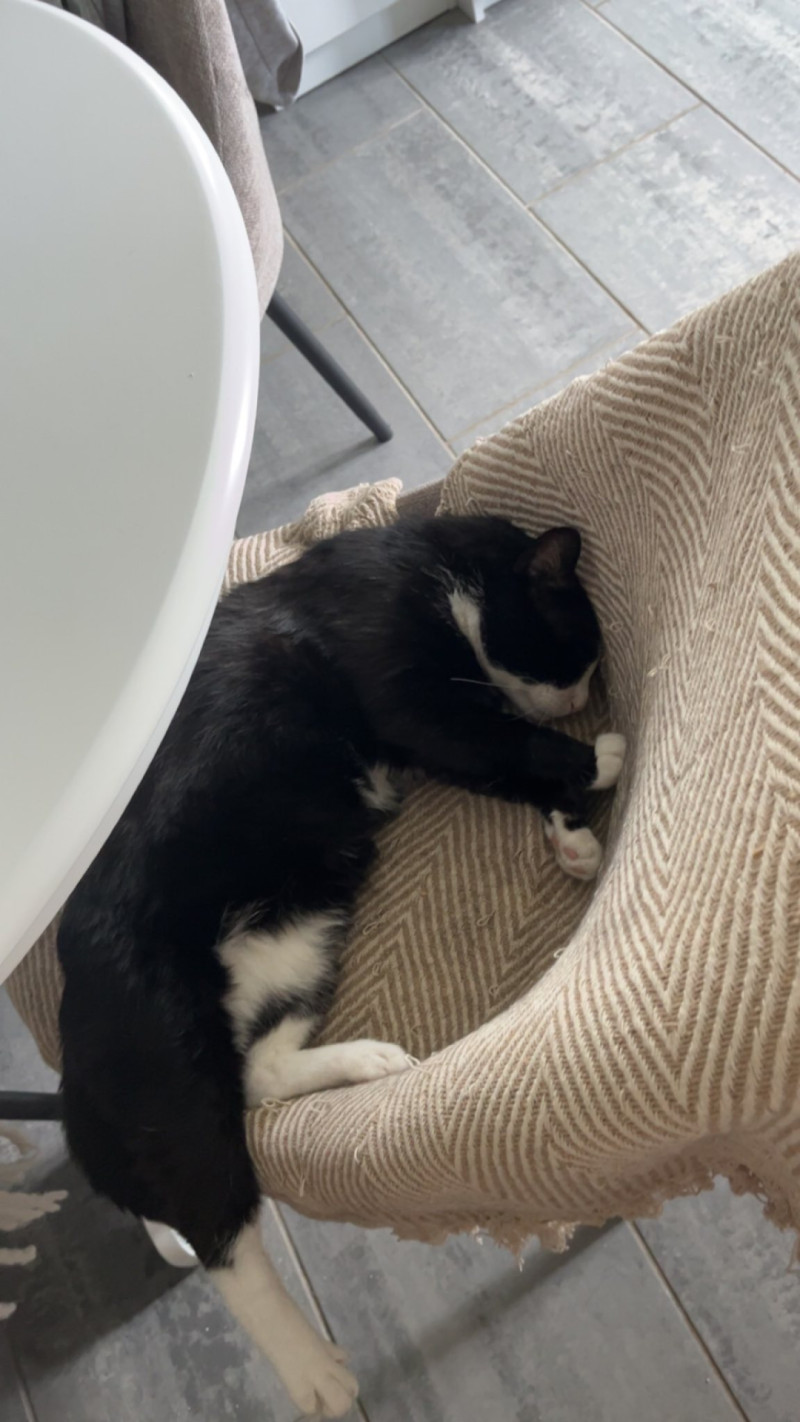 Bilde av Sofus
